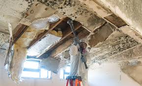 Best Industrial Mold Remediation  in Myrtle Grove, FL